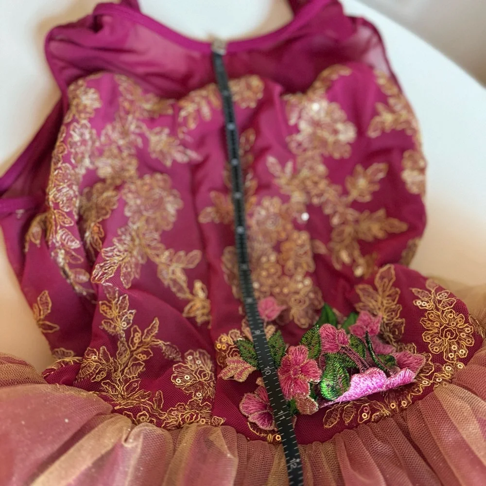 Revolution Dress Dancewear Girls Wine Gold Dance Costume Tulle Child Large LC